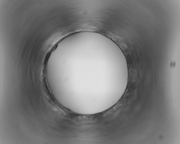 X0000096170338200802081416