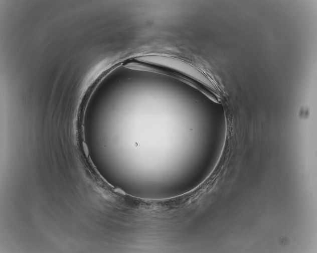 X0000096170340200802081416