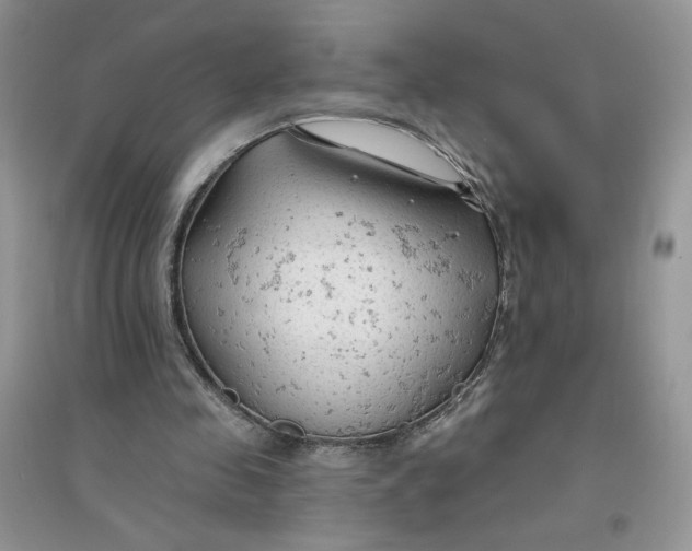 X0000096170341200802081416