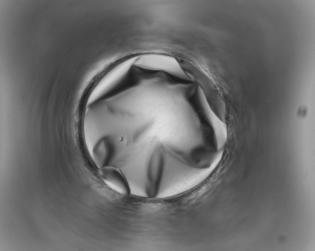 X0000096170342200802081416