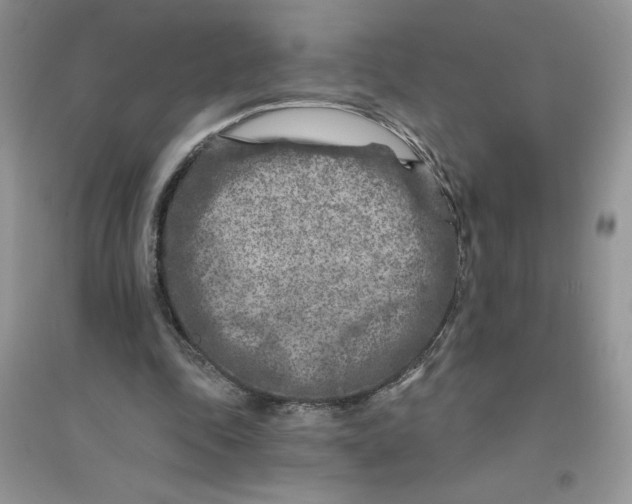 X0000096170343200802081416