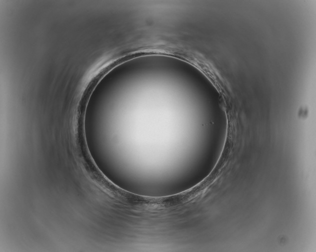 X0000096170344200802081416