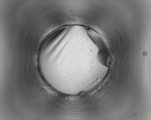 X0000096170345200802081416