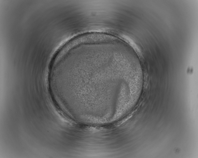 X0000096170346200802081416