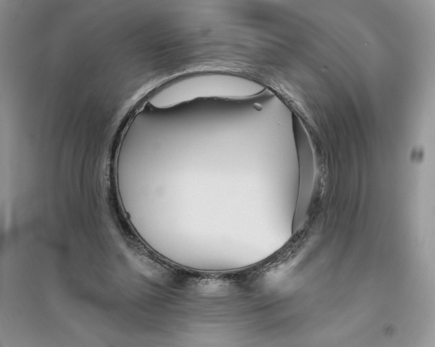 X0000096170348200802081416