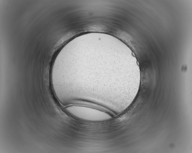 X0000096170349200802081416