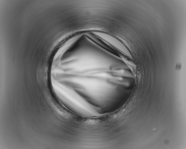 X0000096170350200802081416