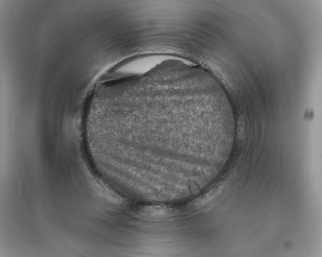 X0000096170351200802081416