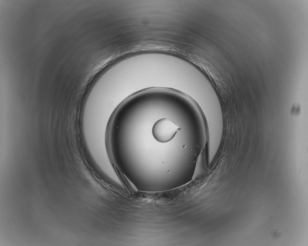 X0000096170352200802081416