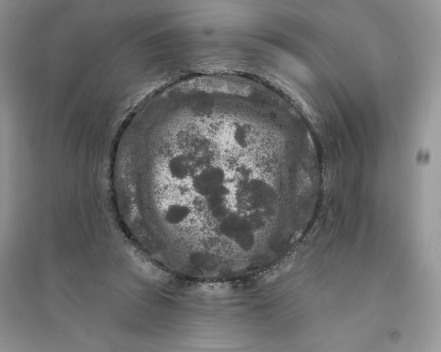 X0000096170353200802081416