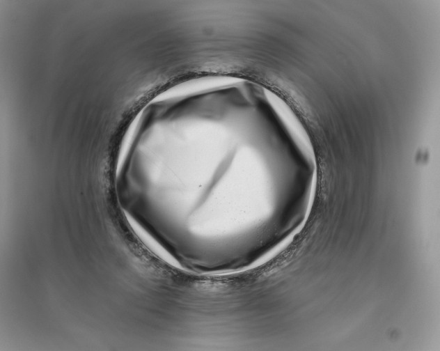 X0000096170354200802081416