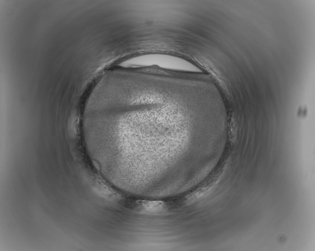 X0000096170355200802081416