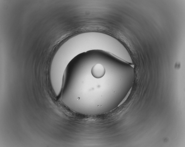 X0000096170356200802081416