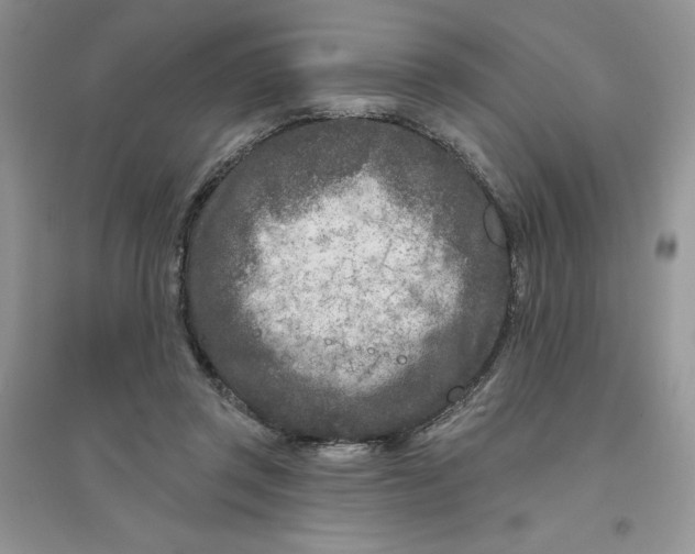 X0000096170357200802081416