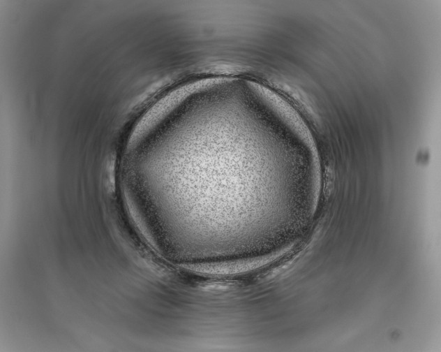 X0000096170358200802081416