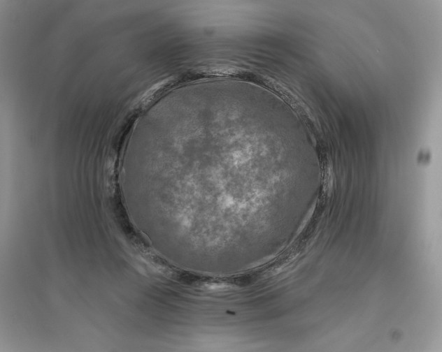 X0000096170360200802081416