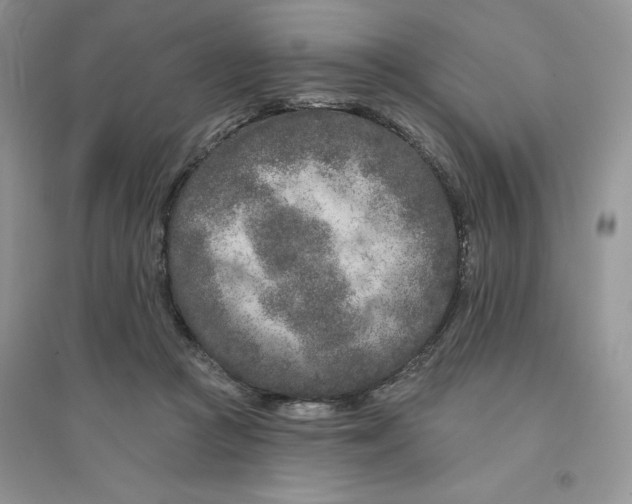 X0000096170361200802081416