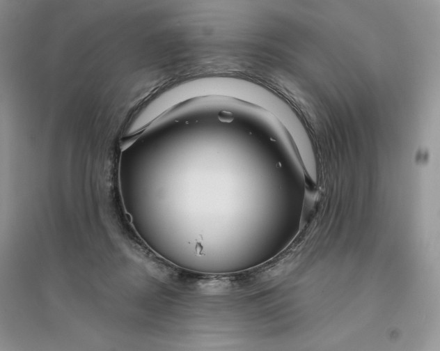 X0000096170362200802081416