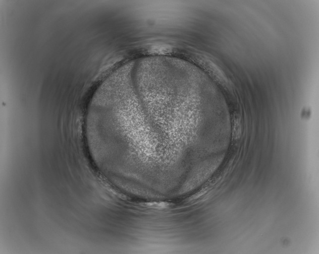 X0000096170363200802081416