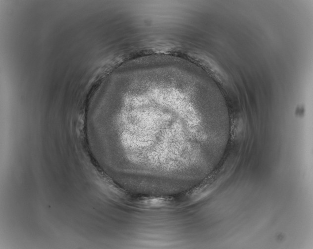 X0000096170365200802081417