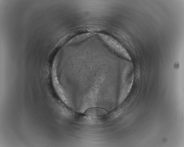 X0000096170367200802081417