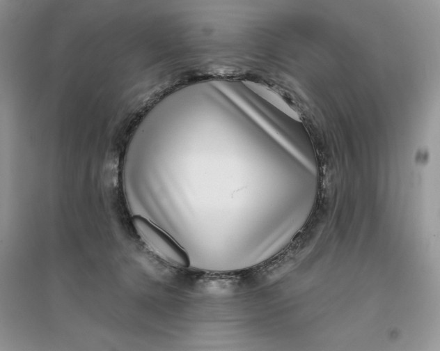 X0000096170368200802081417