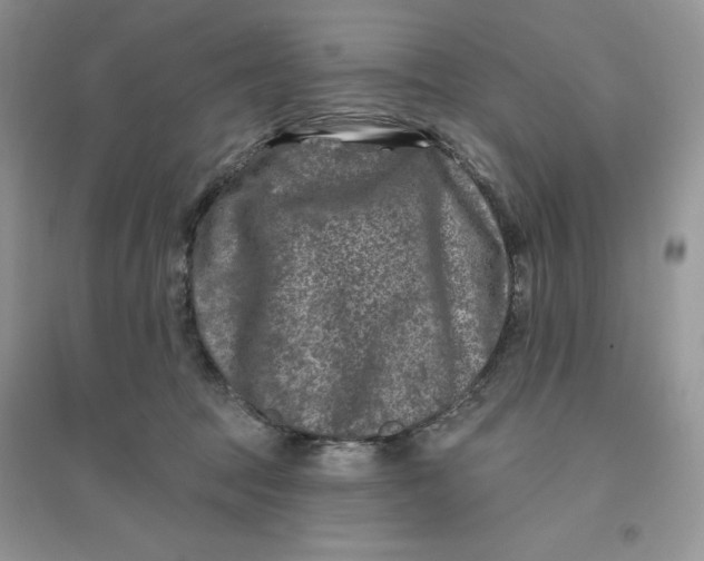 X0000096170369200802081417