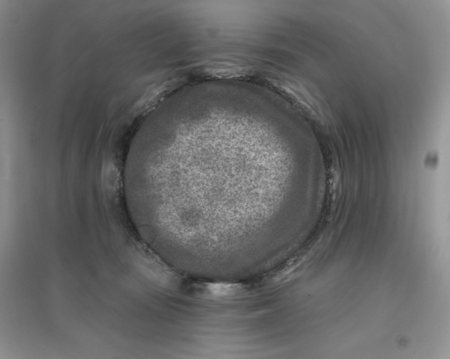 X0000096170371200802081417