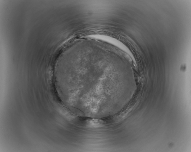 X0000096170372200802081417