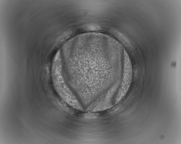 X0000096170373200802081417