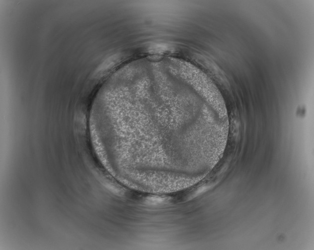 X0000096170375200802081417