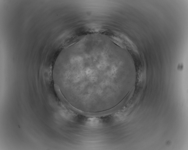 X0000096170376200802081417