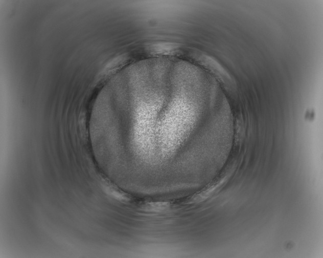 X0000096170377200802081417