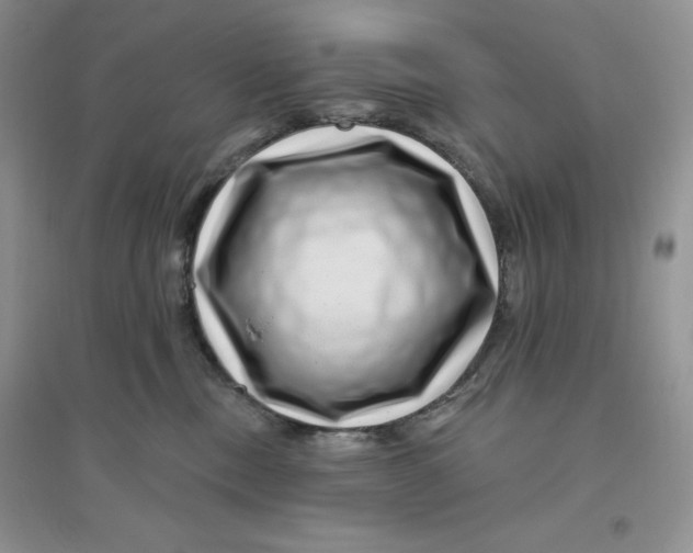 X0000096170378200802081417