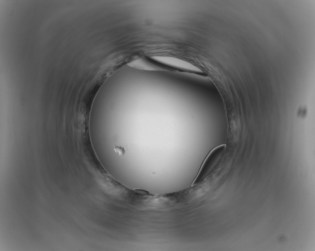 X0000096170379200802081417