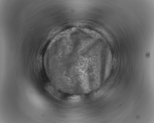 X0000096170381200802081417