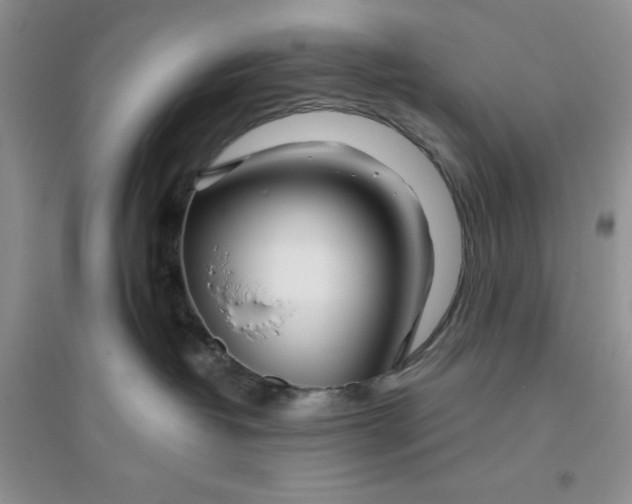 X0000096170382200802081417