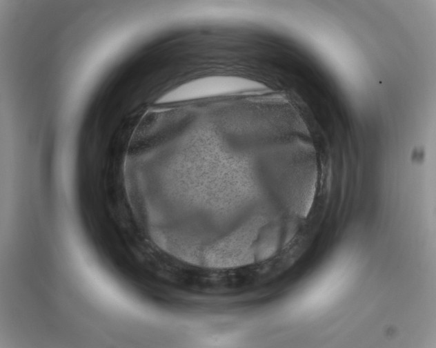 X0000096170383200802081417