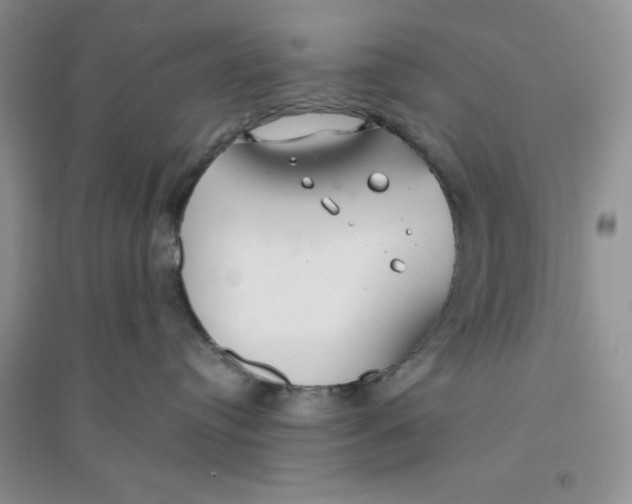 X0000096170384200802081417