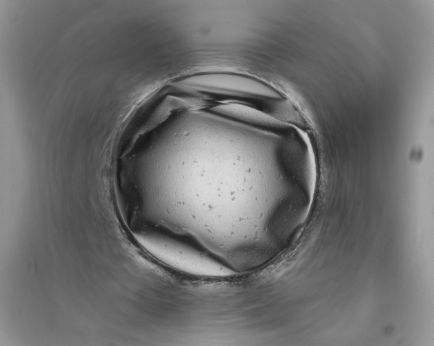 X0000096170385200802081416