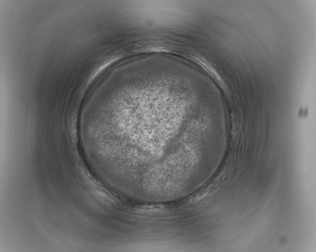 X0000096170386200802081416