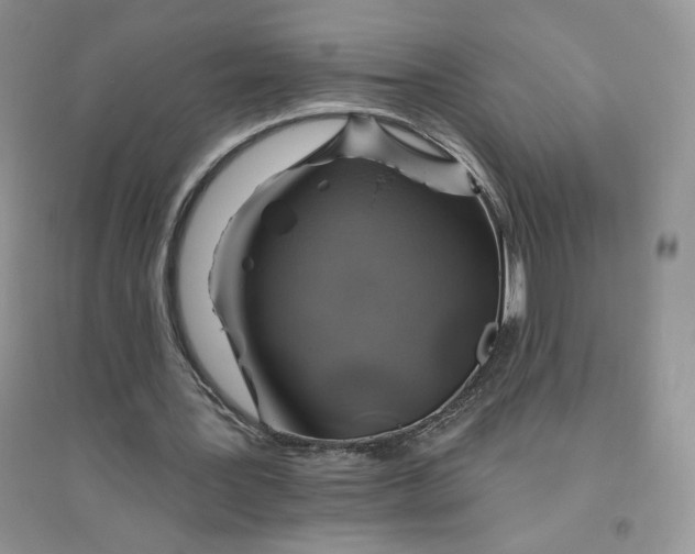 X0000096170387200802081416