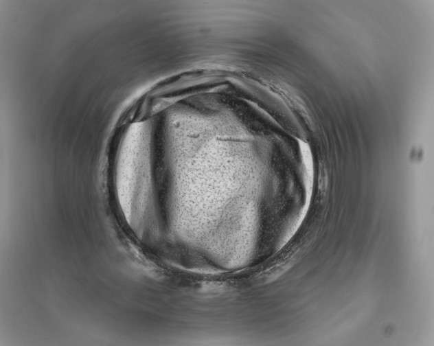 X0000096170388200802081416