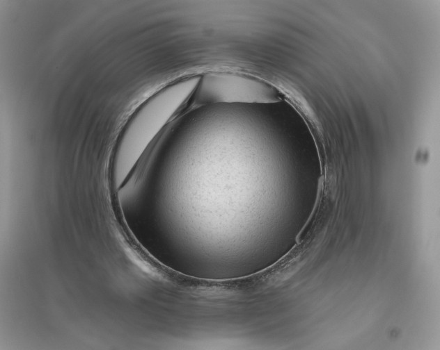 X0000096170389200802081416