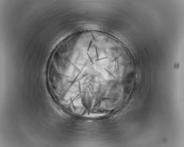 X0000096170390200802081416