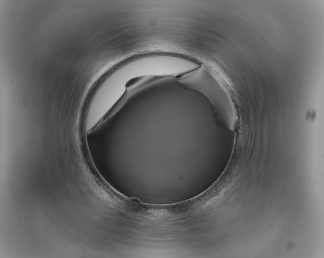 X0000096170391200802081416