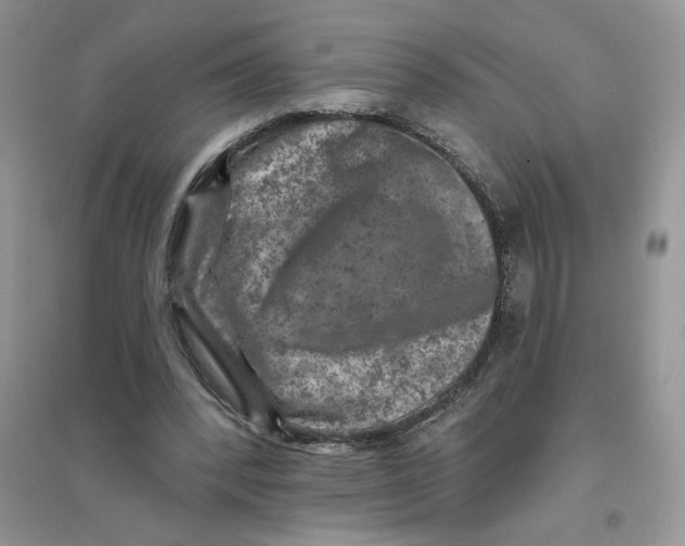 X0000096170392200802081416