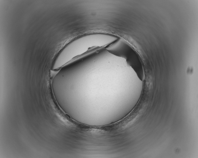 X0000096170393200802081416