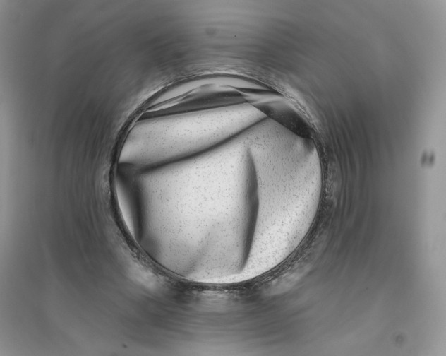 X0000096170394200802081416