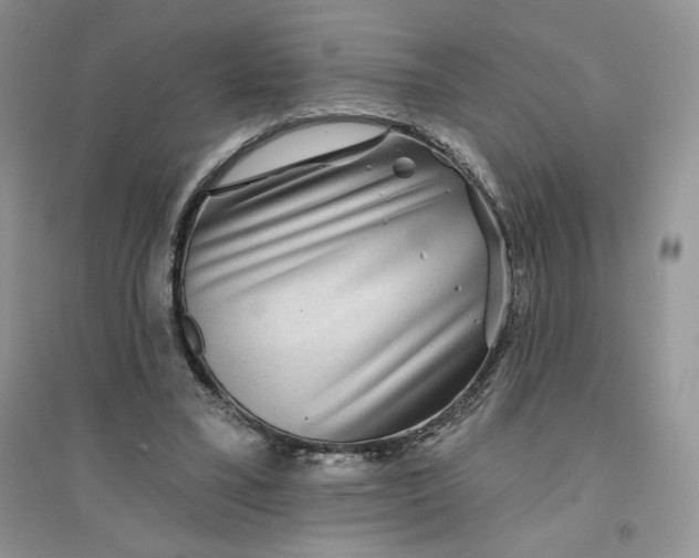 X0000096170395200802081416